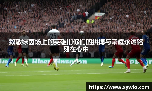 致敬绿茵场上的英雄们你们的拼搏与荣耀永远铭刻在心中