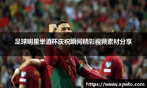 足球明星举酒杯庆祝瞬间精彩视频素材分享